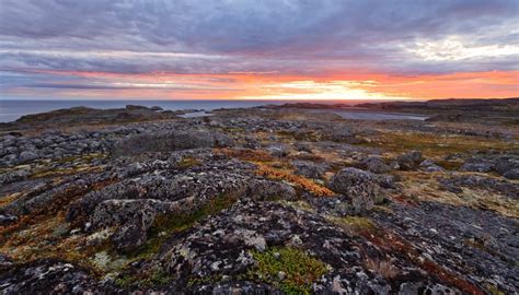 Landforms of the Tundra | Sciencing