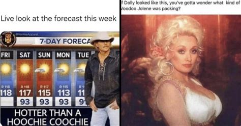 35 Country Music Memes For All Y'all Who Like A Little Twang In Their Music Humor