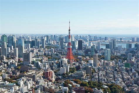 Downtown Skyline With Tokyo Tower Photograph by Tom Bonaventure - Fine Art America