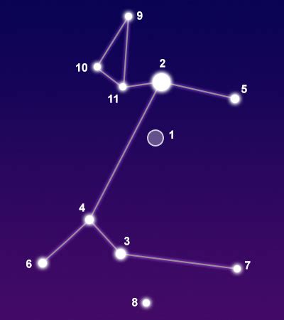 Constellation Canis Major - The Constellations on Sea and Sky