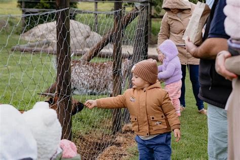 Vredenheim Animal Farm - Wildlife and Winery - Cape Tourism