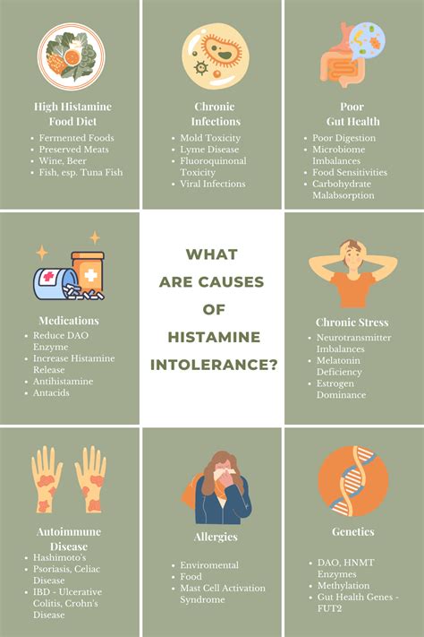 What Are Causes of Your Histamine Intolerance? | Histamine intolerance ...