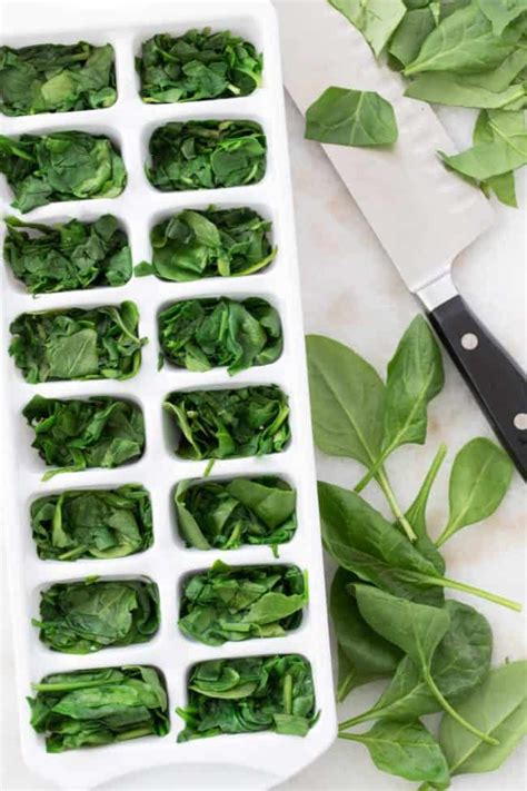 How to Freeze Spinach - The Harvest Kitchen