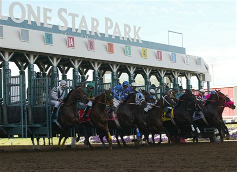 Lone Star Park Horse Racing Picks & Insider Analysis - Todays Racing Digest