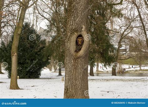 Winter View at Olympiapark Munich Munchen Germany Stock Image - Image ...