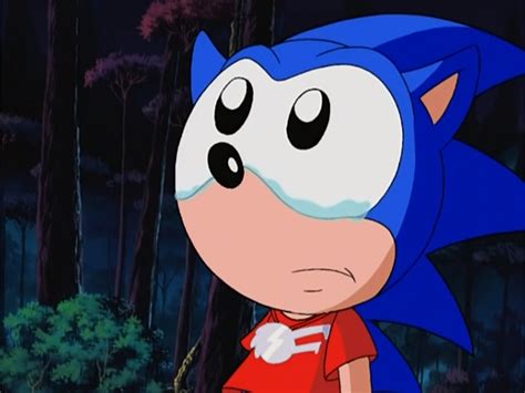 Image - Sonic-Crying.jpg | Sonic News Network | FANDOM powered by Wikia