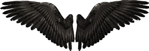 Devil Youtube Wings Angel Free Download PNG HD Transparent HQ PNG Download | FreePNGImg