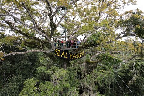 9 Reasons the Yasuni Victory is a Tipping Point for the Climate ...