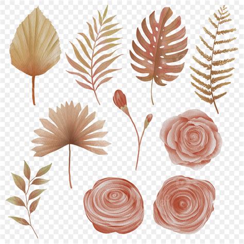 Boho Flowers Png Vector Psd And Clipart With Transparent Background | The Best Porn Website