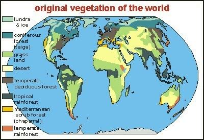 Natural Earth Map