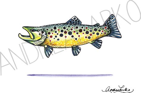 Watercolor Brown Trout Art Print 8.5x11 | Etsy