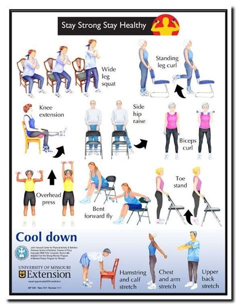 Stretching Exercises For Seniors Pdf / 18 Chair Exercises For Seniors ...