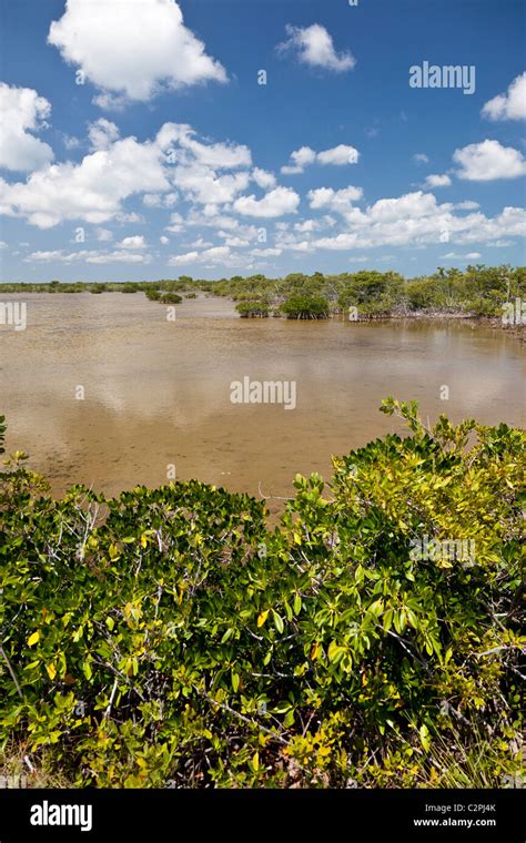 Crocodile Lake National Wildlife Refuge, Key Largo, Florida, USA Stock Photo - Alamy