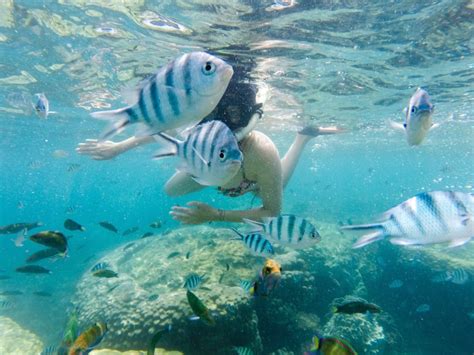 Snorkeling in Malaysia, Perhentian Islands {Video} - Sommertage