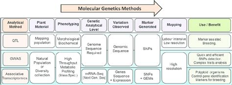 Classic and novel molecular genetic methods. Exploitation of genetic ...