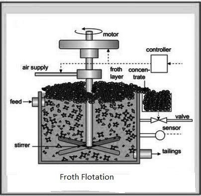 Explain froth floatation process. - Sarthaks eConnect | Largest Online Education Community