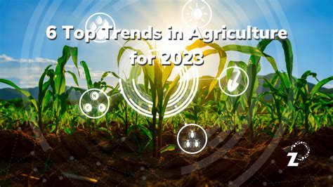 6 Top Trends in Agriculture for 2023 - Zylem