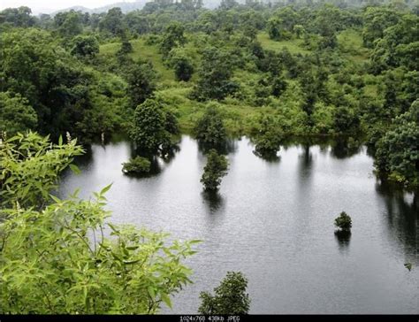 Nature Is Always Beautiful: Chikhaldara Wildlife Sanctuary - Chikhaldara Hill Station