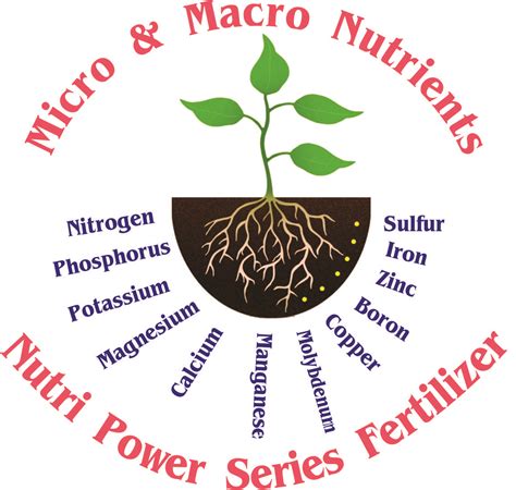 Nutri Power Series Organic Fertilizers: Micro and Macro Nutrients - Nps ...