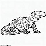 Komodo Dragon Outline Coloring Pages  For Kids – Smart sketch template