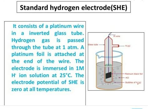 Standard hydrogen electrode explain - Brainly.in