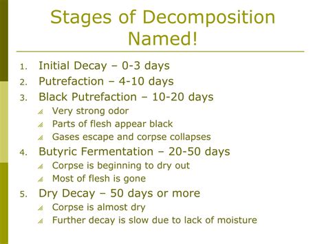 PPT - Death and Decomposition PowerPoint Presentation, free download ...