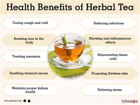 Herbal Tea Health Benefits And Its Side Effects | Lybrate