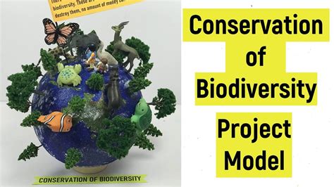 Conservation of Biodiversity project model | Conservation of ...