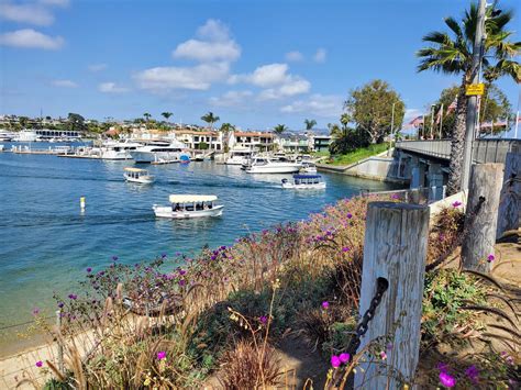 Dock and Dine Your Way Through Newport Beach!