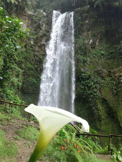 CLOUD FOREST HIKING WATERFALLS TOUR – Boquete Outdoor Adventures Store