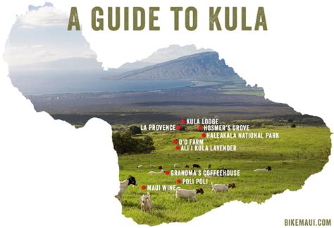 A Guide to Kula - Upcountry, Maui, Hawaii