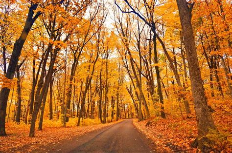 See Door County Fall Colors at These 10 Stunning Places