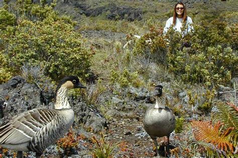 Haleakala Crater Hike