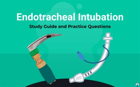 What is Intubation? (Procedure, Study Guide, and Practice Questions)