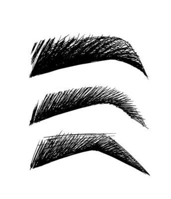 Eyebrows Vector Art, Icons, and Graphics for Free Download