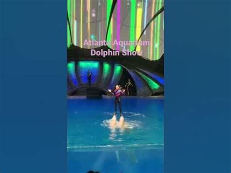 Dolphin show at Atlanta Aquarium - YouTube