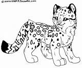 Leopard Coloring Pages For Kids sketch template