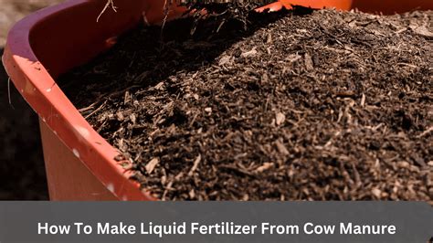 How To Make Liquid Fertilizer From Cow Manure