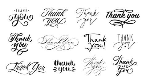 Premium Vector | Thank you lettering Handwritten calligraphic words of ...