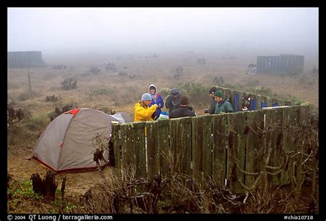 Picture/Photo: Campsite in typical fog, San Miguel Island. Channel ...