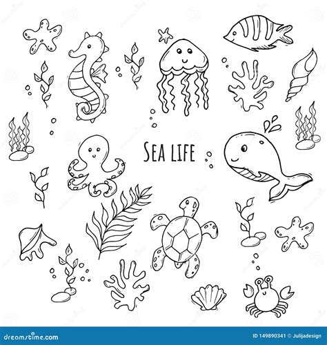 Clipart Sea Creatures Black And White