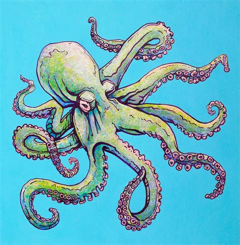 How to paint an Octopus with acrylic | Octopus art, Tentacle art, Octopus sketch