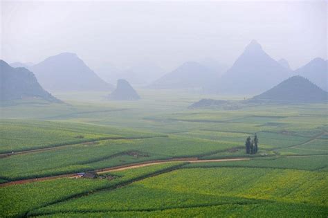 Rapeseed Fields in Luoping, China | Amusing Planet