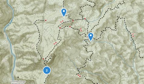 Best Trails near Morganton, North Carolina | AllTrails.com