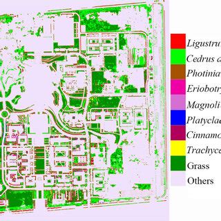 Classification map of the best feature combination. | Download Scientific Diagram