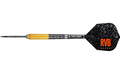 Raymond Van Barneveld Gen 2 95% Tungsten Steel Tip Darts | Target Darts