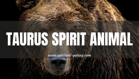 Taurus Spirit Animal: Bears Are The Perfect Representation - Spiritual ...