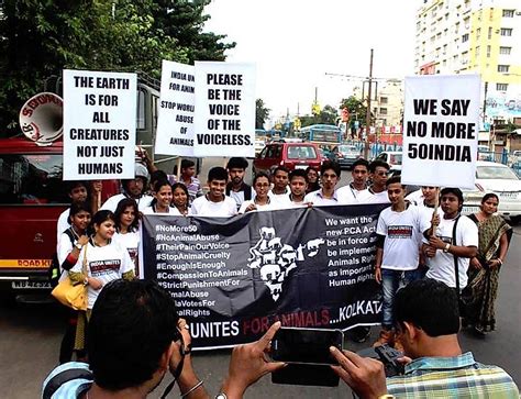 In India, Animal Rights Activists Have Not Given Up - WorldAtlas