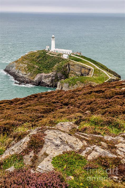 South Stack Lighthouse Photograph by Adrian Evans