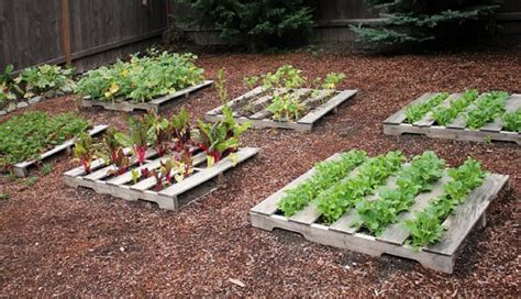 Pallet Vegetable Garden | Pallet Ideas